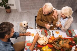 dog at thanksgiving