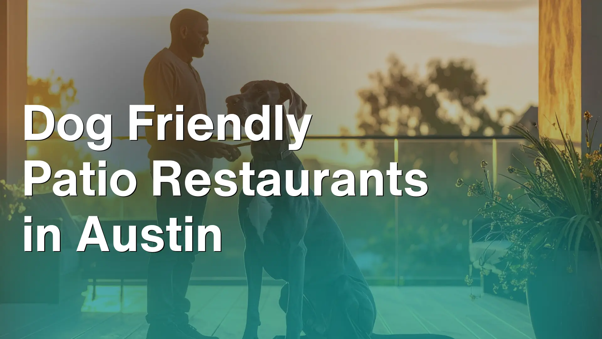 Dog Friendly Patio Restaurants in Austin Image