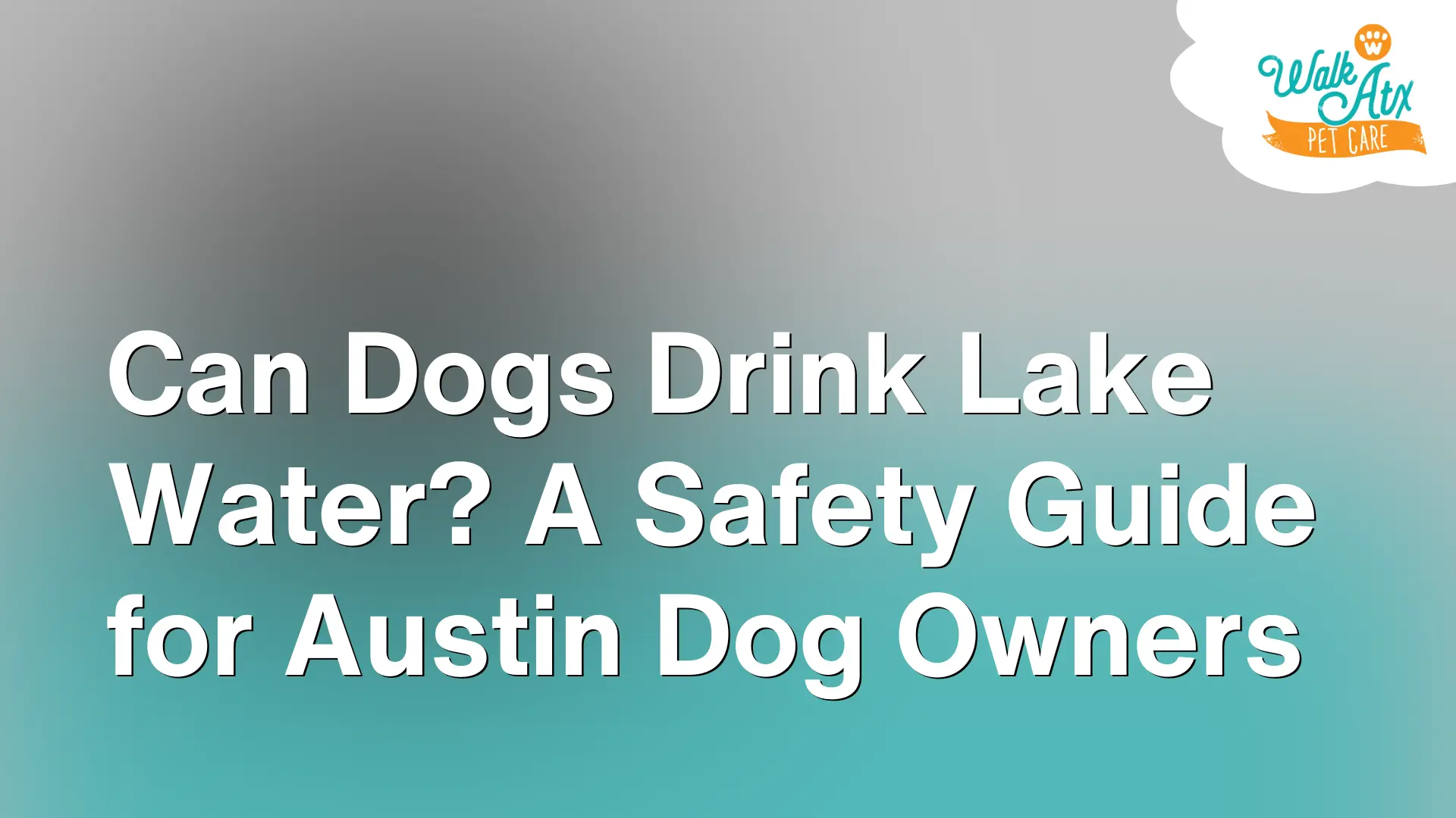 Can Dogs Drink Lake Water_ A Safety Guide for Austin Dog Owners