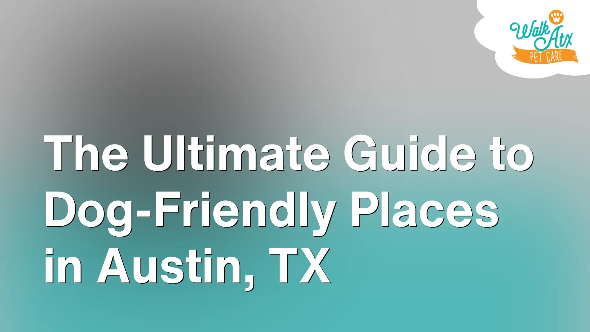 The Ultimate Guide to Dog-Friendly Places in Austin, TX