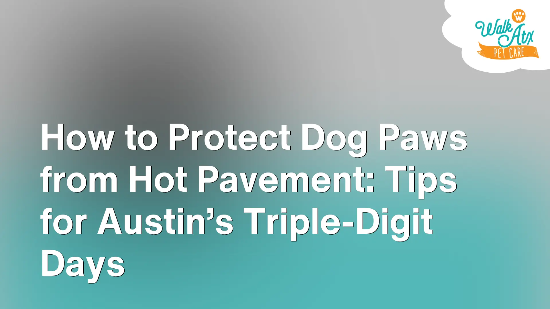 How to Protect Dog Paws from Hot Pavement_ Tips for Austin’s Triple-Digit Days