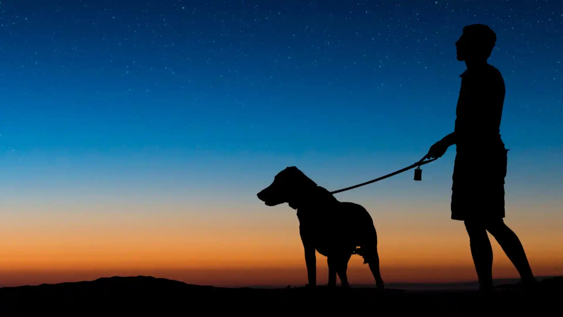 The Ultimate Guide to Walking Your Dog at Night in Austin_ Best Well-Lit Trails and Safety Tips Image 2