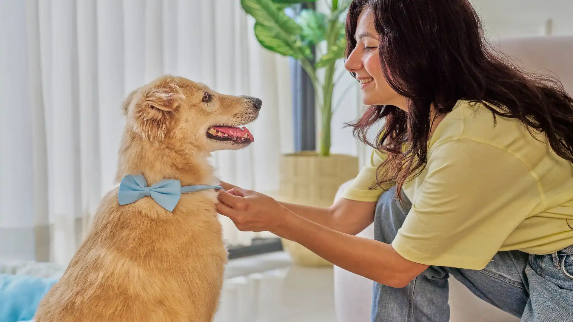 Post-Op Paws_ A Guide to Walking Your Dog After Surgery in Austin’s Best Low-Impact Spots Image 2