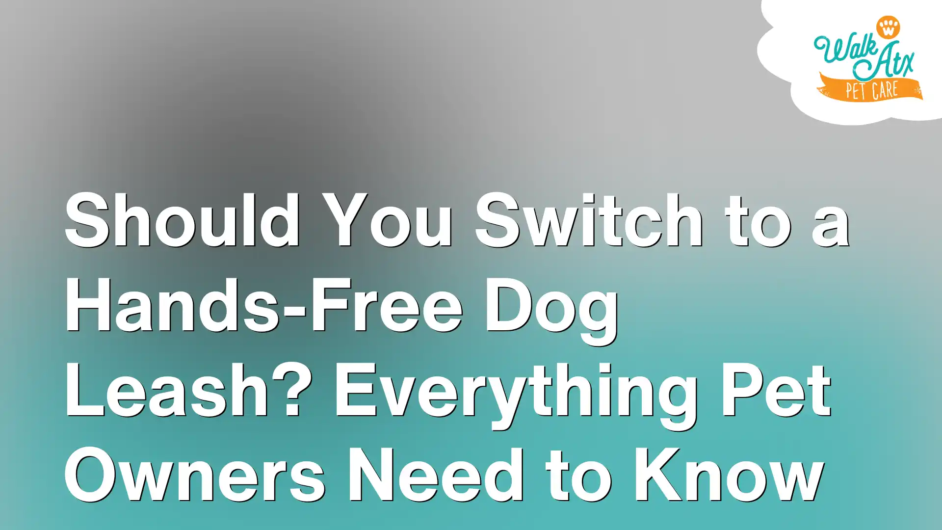 Should You Switch to a Hands-Free Dog Leash_ Everything Pet Owners Need to Know Image