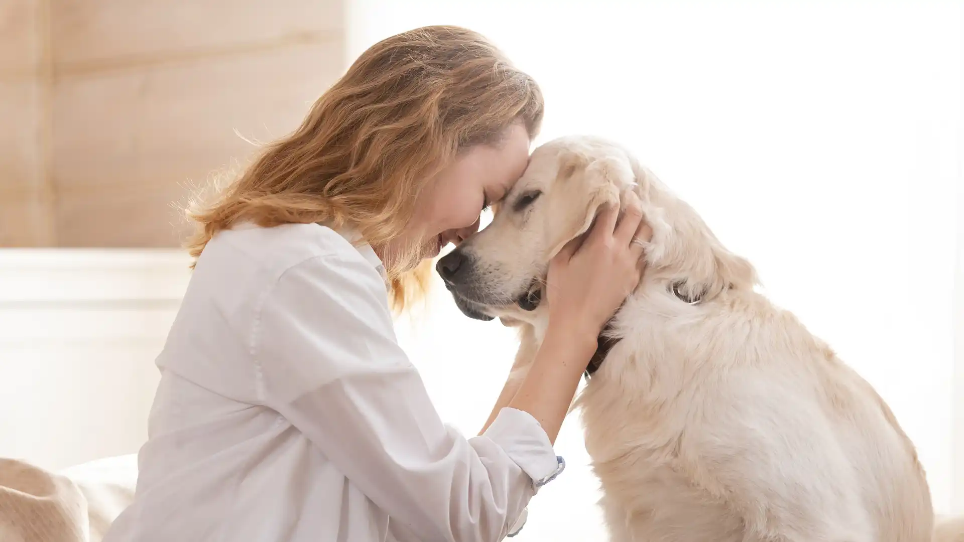 The Austin Pet Parent’s Dog Walker Meet and Greet Checklist_ Finding Your Pup’s New Best Friend Image 2