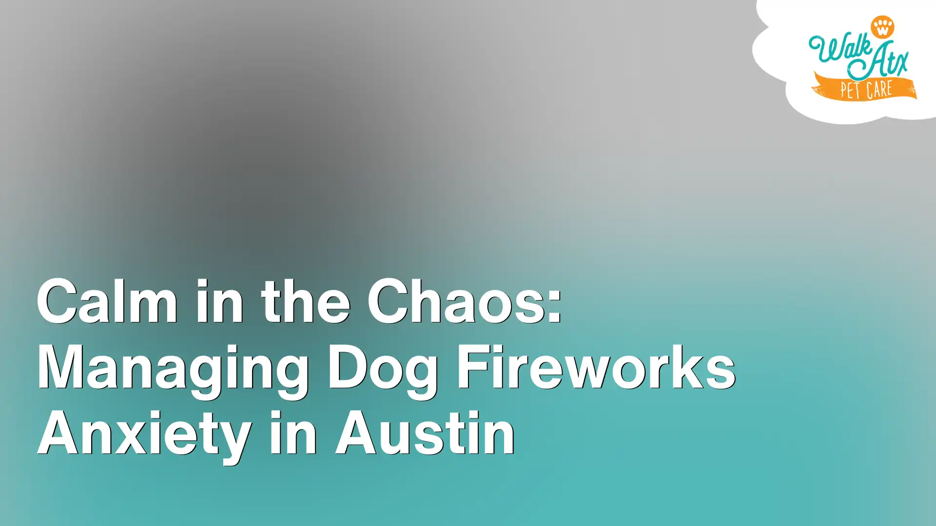Calm in the Chaos_ Managing Dog Fireworks Anxiety in Austin Image