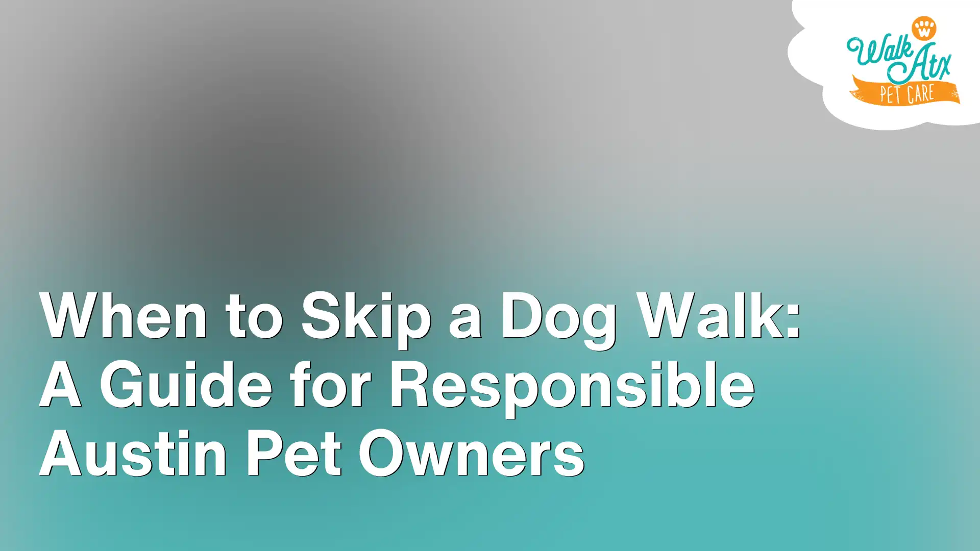 When to Skip a Dog Walk_ A Guide for Responsible Austin Pet Owners Image