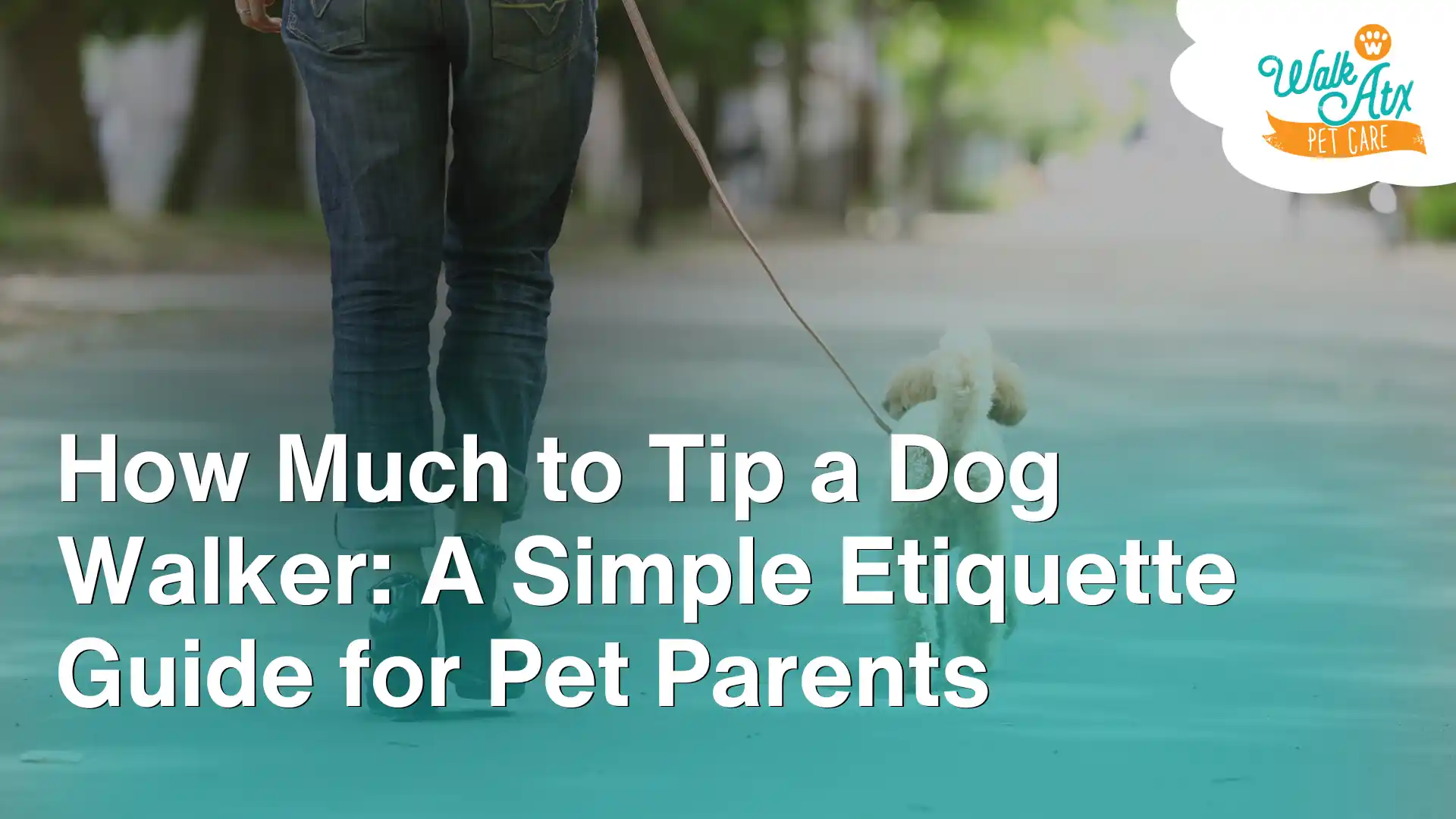How Much to Tip a Dog Walker_ A Simple Etiquette Guide for Pet Parents Image
