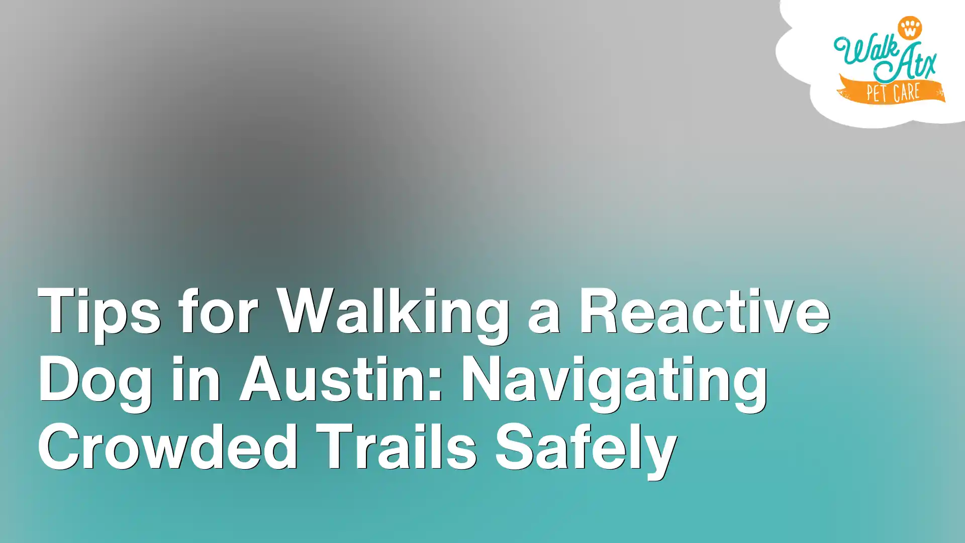 Tips for Walking a Reactive Dog in Austin_ Navigating Crowded Trails Safely Image