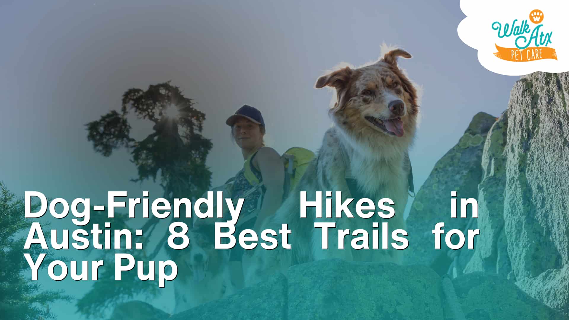 Dog-Friendly Hikes in Austin_ 8 Best Trails for Your Pup image