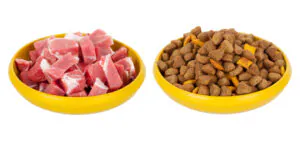 dog food side by side comparison