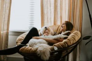 how to choose the pet sitter that is right for you