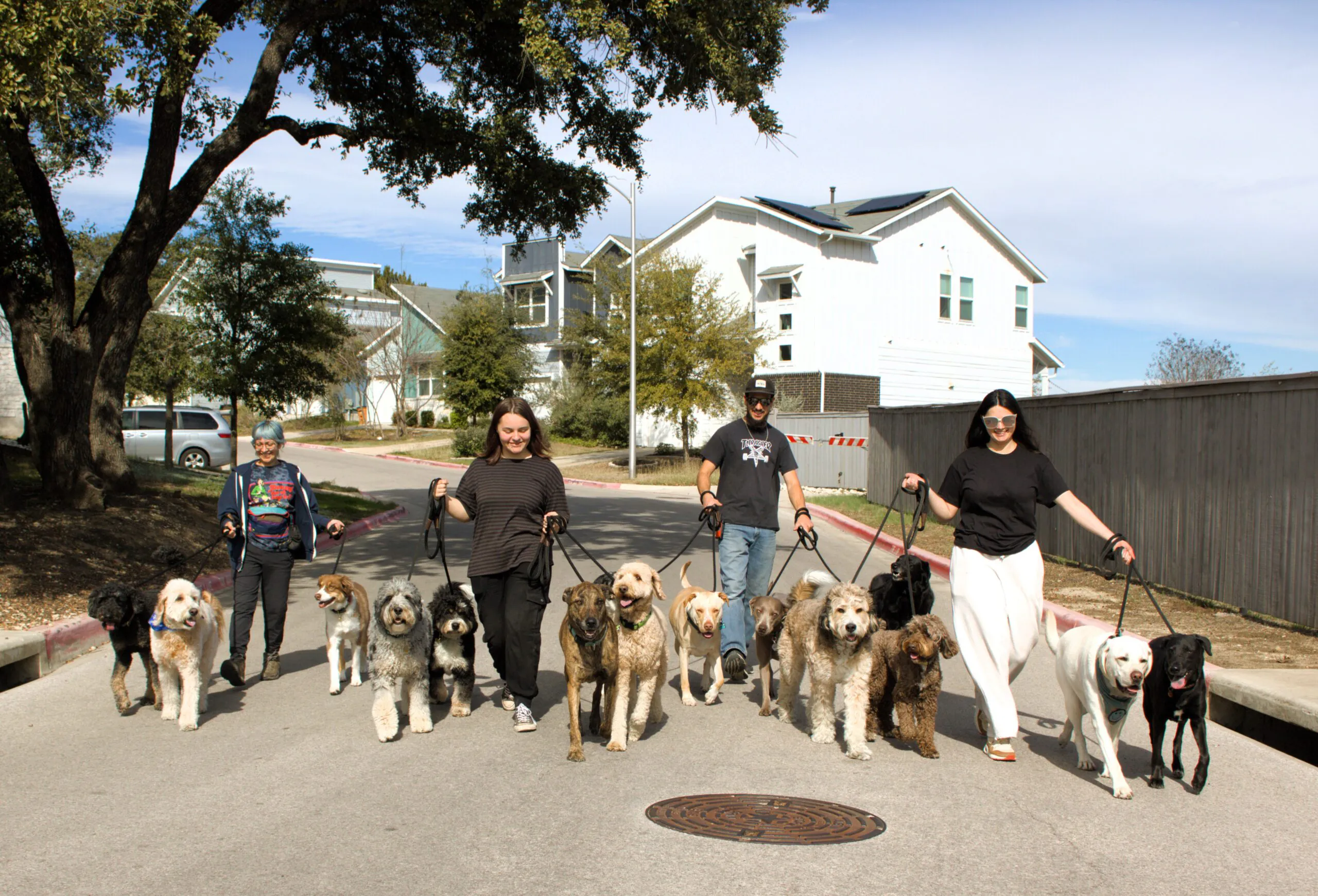 Austin Dog Walking Specialists