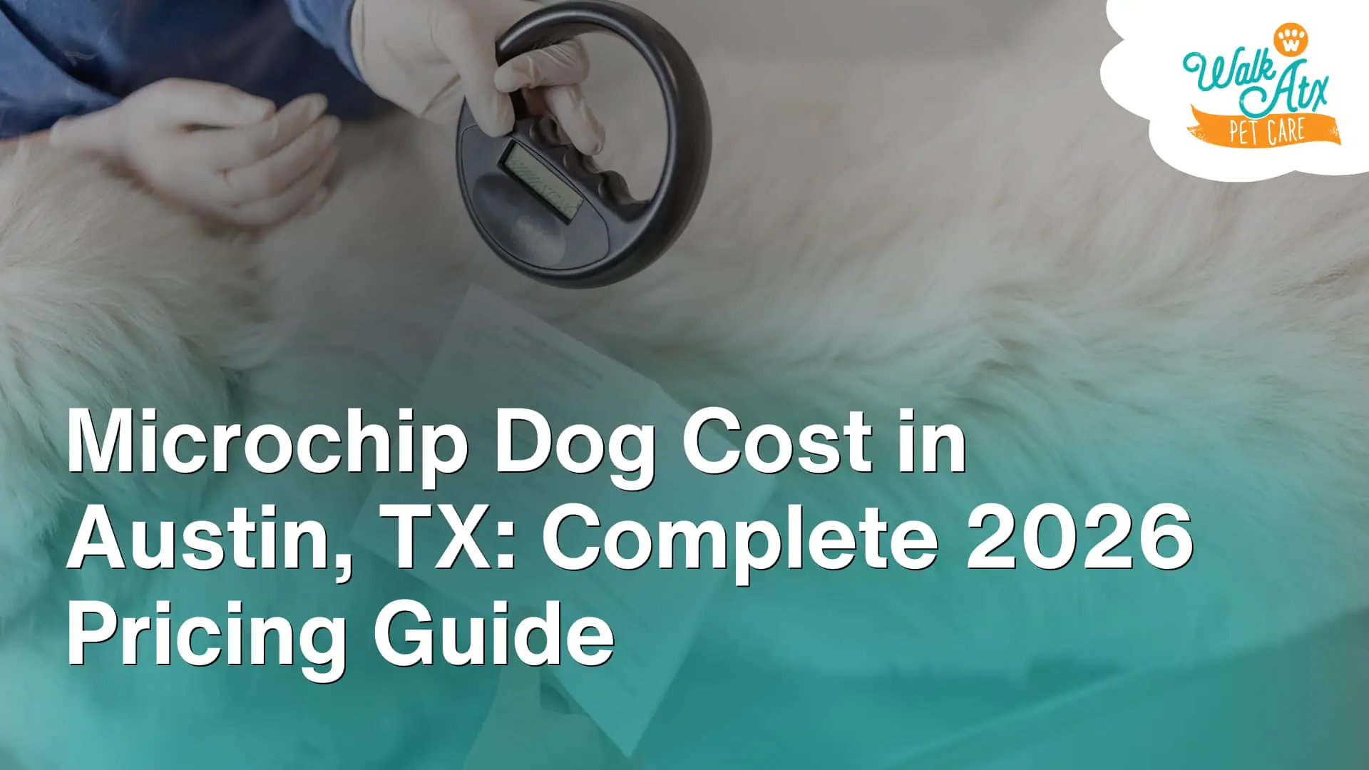 Microchip Dog Cost in Austin, TX_ Complete 2026 Pricing Guide image